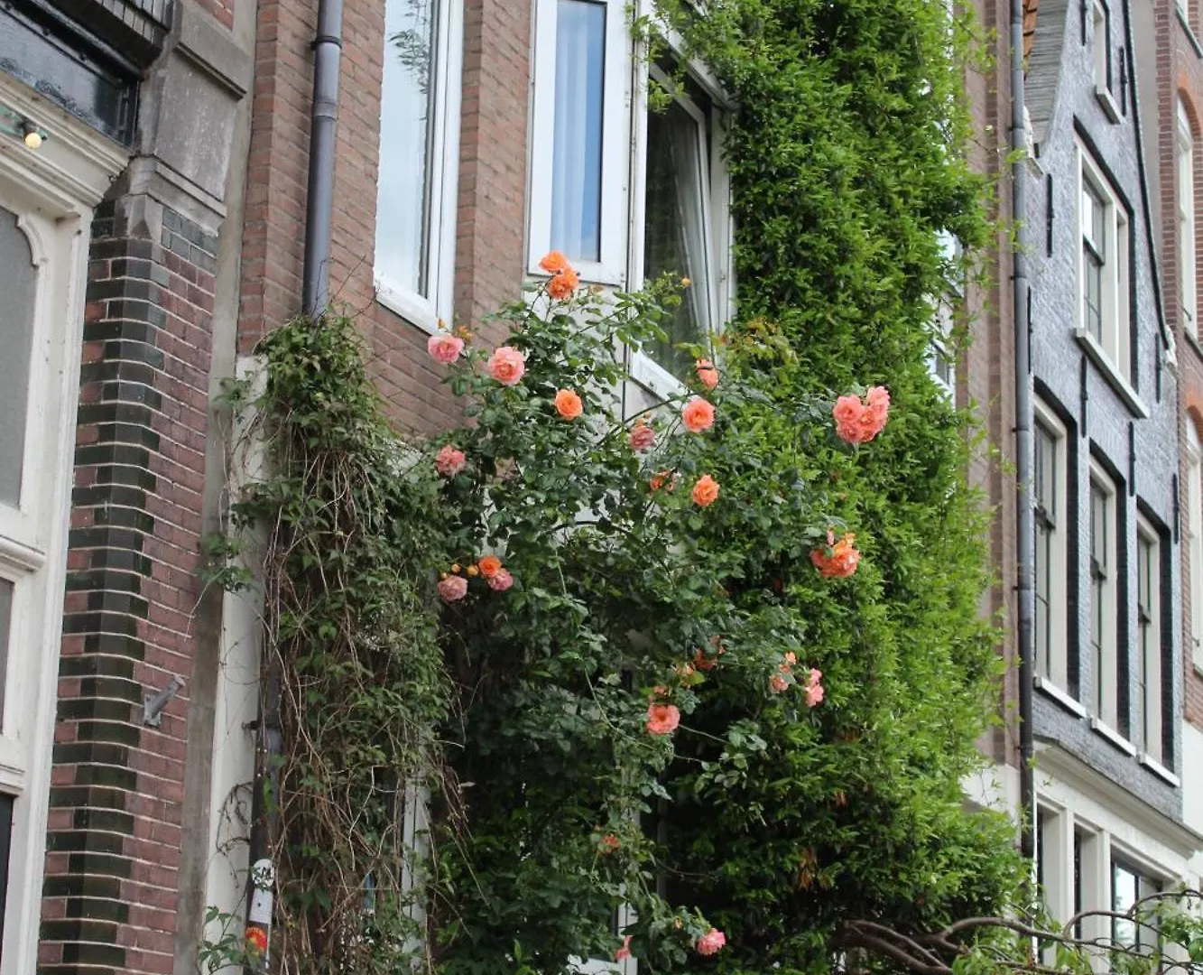 Studio Jordaan Amsterdam Apartment
